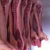 Buy Chilled Frozen Pork Half Carcass