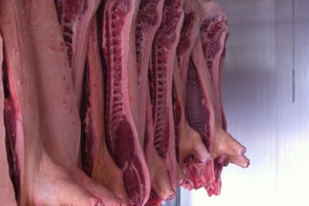 Buy Chilled Frozen Pork Half Carcass