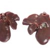 Buy Frozen Chicken Liver online