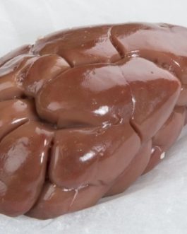 Buy Frozen Veal Kidney