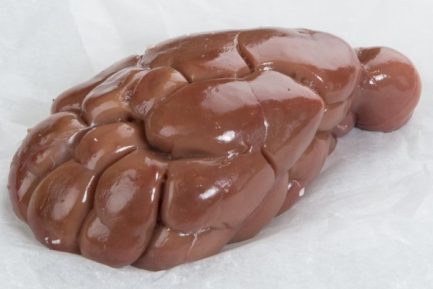 Buy Frozen Veal Kidney
