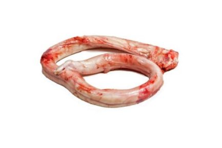 Buy Frozen Veal Pizzle