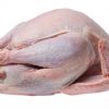 Buy Frozen Whole Turkey